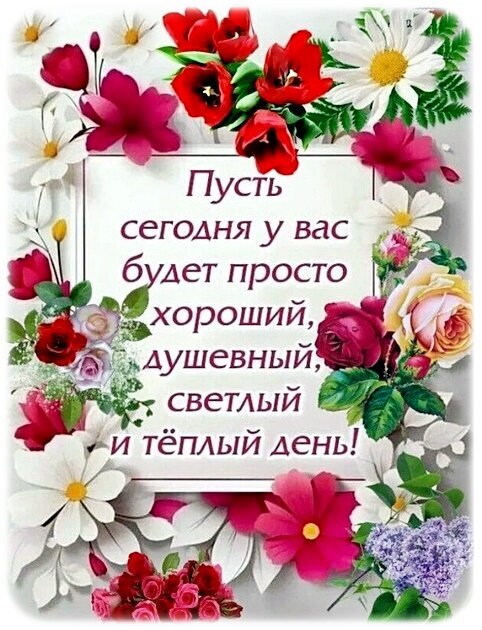Красивая цветочная открытка с пожеланием доброго, душевного и светлого дня. Идеально для WhatsApp и соцсетей. Доброе утро и теплые пожелания! Открытка Удачного дня!