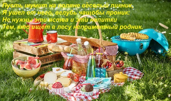 Уютный летний пикник на траве: корзина с едой, фруктами, сыром, напитки и гриль под солнечными лучами. Атмосфера отдыха на природе и эстетика лета. Открытка Пусть шумит на поляне веселый пикник, Я ушел от него, вглубь чащобы проник: Не нужны эти яства и эт