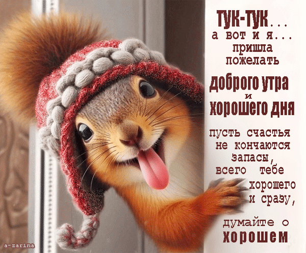 Милая открытка с белкой в шапке: пожелание доброго утра и хорошего дня. Забавное изображение с текстом «Думайте о хорошем» для отправки друзьям. Анимированная открытка Тук-тук… а вот и я… пришла пожелать доброго утра хорошего дня