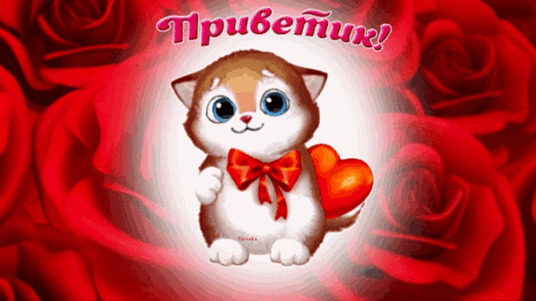Милая открытка с котенком, красным сердечком и розами. Надпись «Приветик!» — идеальное приветствие для близких и любимых в соцсетях и мессенджерах. Анимированная открытка Приветик! Это тебе!