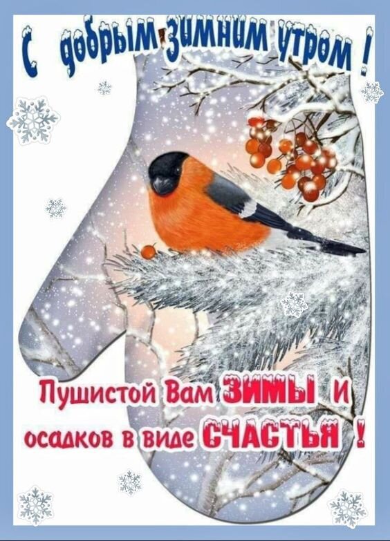 Зимняя открытка «С добрым утром!»: снегирь на заснеженной ветке в форме варежки. Пожелание пушистой зимы и счастья. Красивое праздничное поздравление. Открытка С добрым зимним утром! Пушистой зимы и осадков в виде счастья!