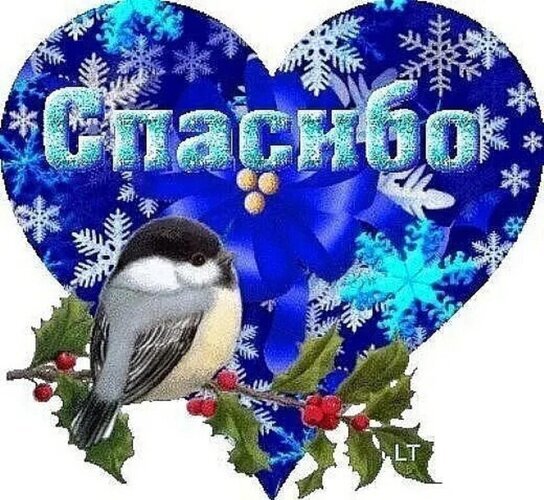 Зимняя открытка «Спасибо» в форме сердца с синицей на ветке и снежинками. Красивое изображение для выражения благодарности в праздничный сезон. Открытка Спасибо Красивая праздничная открытка в форме сердца на зимнюю тематику. На фоне синего сердца с узорами из снежинок и цветка пуансеттии изображена маленькая птичка синица, сидящая на ветке остролиста с красными ягодами. В центре крупными светлыми буквами написано слово «Спасибо» Зимняя открытка «Спасибо» в форме сердца с синицей на ветке и снежинками. Красивое изображение для выражения благодарности в праздничный сезон. Открытка Спасибо Красивая праздничная открытка в форме сердца на зимнюю тематику. На фоне синего сердца с узорами из снежинок и цветка пуансеттии изображена маленькая птичка синица, сидящая на ветке остролиста с красными ягодами. В центре крупными светлыми буквами написано слово «Спасибо»