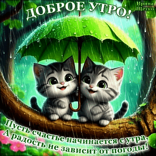Милые котята под зонтом под дождем. Открытка с пожеланием дождливого доброго утра и вдохновляющей фразой о том, что радость не зависит от погоды. Идеально для настроения! Анимированная открытка Доброе утро! Милая и трогательная картинка для пожелания доброго утра. На изображении два очаровательных серых котенка сидят на ветке дерева под большим зеленым зонтом во время дождя. Котята выглядят счастливыми и радостными, несмотря на непогоду. В верхней части надпись «ДОБРОЕ УТРО!», а в нижней — вдохновляющая цитата: «Пусть счастье начинается с утра, а радость не зависит от погоды!»