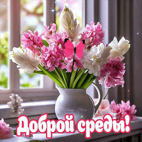 Поздравительная открытка «Доброй среды!» с букетом розовых и белых гиацинтов, нежной бабочкой и солнечным весенним настроением. Анимированная открытка Доброй Вам Среды! Красивая поздравительная открытка с букетом нежных розовых и белых гиацинтов в белой керамической вазе. На фоне цветов парит розовая бабочка, создавая атмосферу весеннего уюта и свежести. На переднем плане яркая надпись на русском языке: Доброй среды!