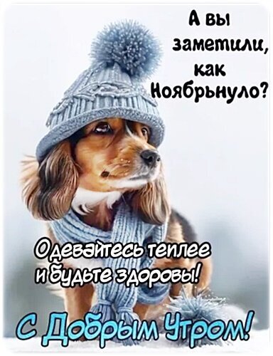 Милая открытка с собакой в зимней шапке и шарфе. Текст: «А вы заметили, как Ноябрьнуло? Одевайтесь теплее! С Добрым Утром!» Пожелание доброго утра и тепла. Открытка Доброе утро! Забавная поздравительная открытка с милым коричневым спаниелем в зимней шапке с помпоном и уютном шарфе. На изображении расположен текст на русском языке: «А вы заметили, как Ноябрьнуло? Одевайтесь теплее и будьте здоровы! С Добрым Утром!». Картинка передает атмосферу поздней осени или начала зимы, вызывая улыбку и чувство тепла