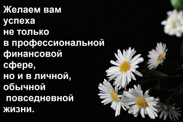 Поздравительная открытка с белыми ромашками на черном фоне. Текст: пожелание успеха в финансовой сфере и в личной повседневной жизни. Открытка Желаем вам успеха не только в профессиональной финансовой сфере, но и в личной, обычной повседневной Красивое поздравительное изображение с белыми ромашками на черном фоне и мотивирующей надписью на русском языке. Текст пожелания гласит: Желаем вам успеха не только в профессиональной финансовой сфере, но и в личной, обычной повседневной жизни. Картинка идеально подходит для использования в качестве открытки для пожелания удачи, успеха в делах и благополучия в жизни Поздравительная открытка с белыми ромашками на черном фоне. Текст: пожелание успеха в финансовой сфере и в личной повседневной жизни. Открытка Желаем вам успеха не только в профессиональной финансовой сфере, но и в личной, обычной повседневной Красивое поздравительное изображение с белыми ромашками на черном фоне и мотивирующей надписью на русском языке. Текст пожелания гласит: Желаем вам успеха не только в профессиональной финансовой сфере, но и в личной, обычной повседневной жизни. Картинка идеально подходит для использования в качестве открытки для пожелания удачи, успеха в делах и благополучия в жизни