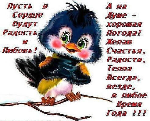 Милая открытка с пушистым птенцом и добрым пожеланием счастья, любви и тепла на душе. Идеально для отправки близким в любое время года! Открытка Пусть в Сердце будут Радость и любовь! А на душе-хорошая Милая и добрая открытка с изображением пушистого синего птенца с большими выразительными глазами. Птенец сидит на ветке на белом фоне. На картинке размещен вдохновляющий текст на русском языке: 