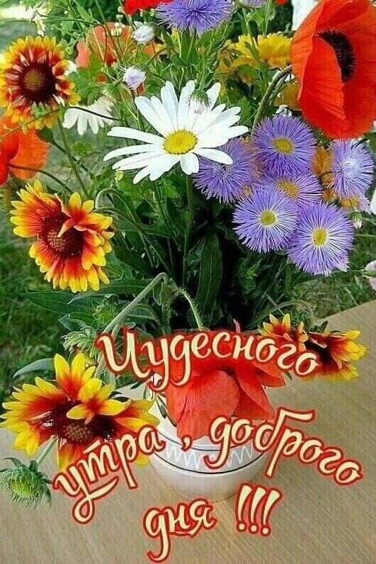 Яркий букет полевых цветов (маки, ромашки, астры) с надписью «Чудесного утра, доброго дня!!!». Красивая поздравительная открытка для доброго утра. Открытка Чудесного утра, доброго дня!!! Яркий и красочный букет полевых цветов в вазе, создающий праздничное и позитивное настроение. В композиции сочетаются белые ромашки, красные маки, желтые и оранжевые подсолнухи, а также нежные фиолетовые астры. На переднем плане расположена надпись на русском языке: «Чудесного утра, доброго дня!!!» Яркий букет полевых цветов (маки, ромашки, астры) с надписью «Чудесного утра, доброго дня!!!». Красивая поздравительная открытка для доброго утра. Открытка Чудесного утра, доброго дня!!! Яркий и красочный букет полевых цветов в вазе, создающий праздничное и позитивное настроение. В композиции сочетаются белые ромашки, красные маки, желтые и оранжевые подсолнухи, а также нежные фиолетовые астры. На переднем плане расположена надпись на русском языке: «Чудесного утра, доброго дня!!!»