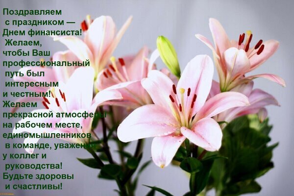 Поздравительная открытка к Дню финансиста с нежными розовыми лилиями. Теплые пожелания успеха, признания коллег, здоровья и счастья профессионалам. Открытка Поздравляем с праздником — Днем финансиста! Желаем, чтобы Ваш профессиональный путь был интересным и Красивая поздравительная открытка с нежными розовыми лилиями к Дню финансиста. На изображении расположен текст с теплыми пожеланиями профессионального успеха, интересного пути, честности, прекрасной рабочей атмосферы, единомышленников в команде, уважения коллег и руководства, а также крепкого здоровья и счастья