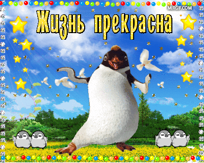Позитивная GIF-открытка с танцующим пингвином и надписью «Жизнь прекрасна». Яркая картинка с голубями, звездами и шарами для хорошего настроения. Анимированная открытка Жизнь прекрасна Веселая и позитивная GIF-анимация с изображением танцующего пингвина на фоне голубого неба с облаками и зелени. В верхней части кадра расположена крупная надпись на русском языке «Жизнь прекрасна». Изображение украшено декоративными элементами: летящими белыми голубями, золотыми звездами и разноцветными праздничными шарами по краям. В нижней части композиции находятся маленькие милые пингвинята