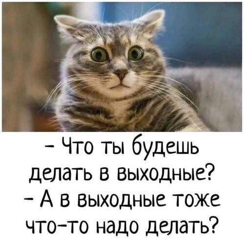 Смешной мем с котом: «Что ты будешь делать в выходные?» — «А в выходные тоже что-то надо делать?». Юмор про отдых, лень и отсутствие планов на выходные. Открытка Отличных выходных! Смешная картинка-мем с изображением кота с удивленным или шокированным выражением мордочки. На картинке размечен текст на русском языке: вопрос «Что ты будешь делать в выходные?» и ироничный ответ «А в выходные тоже что-то надо делать?». Мем идеально передает чувство усталости, нежелание проявлять активность в свободное время и ироничное отношение к планам на отдых