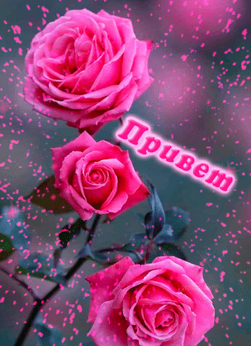 Розовая открытка с цветами и надписью «Привет». Красивые розы, блестки и романтичная атмосфера для отправки друзьям и близким. Анимированная открытка Привет! Красивая анимированная открытка с нежными розовыми розами на темном фоне. На изображении три пышных цветка, украшенных мерцающими розовыми искрами и блестками, создающими праздничную и романтическую атмосферу. В центре расположена надпись «Привет», выполненная стильным шрифтом с розовым контуром Розовая открытка с цветами и надписью «Привет». Красивые розы, блестки и романтичная атмосфера для отправки друзьям и близким. Анимированная открытка Привет! Красивая анимированная открытка с нежными розовыми розами на темном фоне. На изображении три пышных цветка, украшенных мерцающими розовыми искрами и блестками, создающими праздничную и романтическую атмосферу. В центре расположена надпись «Привет», выполненная стильным шрифтом с розовым контуром