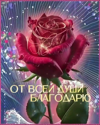 Красивая открытка с красной розой и блестками. Надпись «От всей души благодарю». Идеально для выражения признательности и теплых слов. Анимированная открытка Благодарю! ОТ ВСЕЙ ДУШИ Благодарю Красивая открытка с крупным планом роскошной красной розы. Цветок украшен сияющими искрами и магическим свечением на фоне мерцающих лучей. В нижней части изображения расположена надпись на русском языке «ОТ ВСЕЙ ДУШИ БЛАГОДАРЮ», выполненная элегантным белым шрифтом