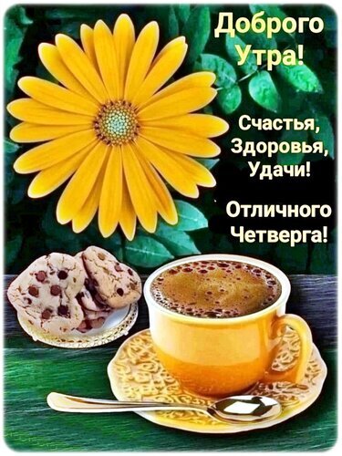 Поздравительная открытка «Доброго утра!» с пожеланиями счастья и здоровья. На фото: желтый цветок, чашка кофе и печенье. Желаем отличного четверга! Открытка Доброе утро! Красивая поздравительная открытка с пожеланиями доброго утра, счастья, здоровья и удачи. На изображении крупным планом изображена яркая желтая ромашка (гербера), чашка ароматного кофе с пенкой и аппетитное печенье с шоколадной крошкой. В нижней части композиции — уютная обстановка для завтрака