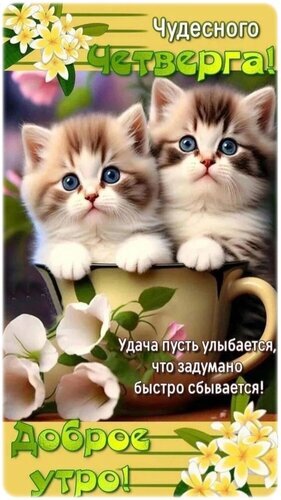 Открытка «Доброе утро! Чудесного четверга!». Два милых котенка в кружке и цветы. Пожелание удачи и исполнения желаний для хорошего настроения. Открытка Чудесного четверга! Милая поздравительная открытка с двумя пушистыми котятами в кружке, украшенная нежными цветами. На изображении надписи на русском языке: «Чудесного четверга!» и «Доброе утро! Удача пусть улыбается, что задумано быстро сбывается!». Идеально подходит для отправки в мессенджерах и соцсетях, чтобы пожелать близким хорошего настроения, удачного четверга и исполнения желаний