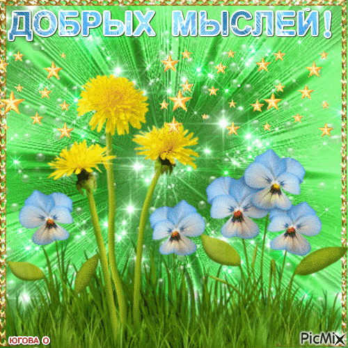 Красивая открытка с надписью «Добрых мыслей!». Желтые одуванчики, голубые цветы, звезды и солнечные лучи. Идеальное позитивное пожелание на каждый день! Анимированная открытка Добрых мыслей! цветок Яркая и позитивная поздравительная открытка с надписью «ДОБРЫХ МЫСЛЕЙ!» на фоне лучистого зеленого неба. Композиция украшена крупными желтыми одуванчиками и нежными голубыми цветами анютиными глазками. Картинка наполнена волшебной атмосферой благодаря мерцающим искрам, золотистым звездам и эффекту солнечных лучей Красивая открытка с надписью «Добрых мыслей!». Желтые одуванчики, голубые цветы, звезды и солнечные лучи. Идеальное позитивное пожелание на каждый день! Анимированная открытка Добрых мыслей! цветок Яркая и позитивная поздравительная открытка с надписью «ДОБРЫХ МЫСЛЕЙ!» на фоне лучистого зеленого неба. Композиция украшена крупными желтыми одуванчиками и нежными голубыми цветами анютиными глазками. Картинка наполнена волшебной атмосферой благодаря мерцающим искрам, золотистым звездам и эффекту солнечных лучей