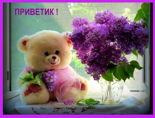 Милый плюшевый мишка с букетом фиолетовой сирени и надписью «ПРИВЕТИК!». Красивая весенняя картинка-открытка для поднятия настроения. Открытка Приветик! Милое и уютное изображение с плюшевым мишкой, сидящим рядом с букетом ароматной фиолетовой сирени в вазе на подоконнике. На картинке видна надпись «ПРИВЕТИК!», что создает позитивное, дружелюбное и весеннее настроение