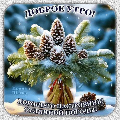 Зимняя открытка «Доброе утро!» с букетом сосновых шишек и еловых веток в снегу. Пожелание хорошего настроения и отличной погоды для зимнего утра. Анимированная открытка Доброе утро! Красивая праздничная открытка с пожеланием доброго утра. На изображении представлен пышный букет из натуральных сосновых шишек и еловых веток, припорошенных пушистым белым снегом. Композиция расположена в прозрачной вазе на заснеженном фоне, создавая атмосферу зимней сказки и уюта. Текст на русском языке гласит: «ДОБРОЕ УТРО! ХОРОШЕГО НАСТРОЕНИЯ! ОТЛИЧНОЙ ПОГОДЫ!» Зимняя открытка «Доброе утро!» с букетом сосновых шишек и еловых веток в снегу. Пожелание хорошего настроения и отличной погоды для зимнего утра. Анимированная открытка Доброе утро! Красивая праздничная открытка с пожеланием доброго утра. На изображении представлен пышный букет из натуральных сосновых шишек и еловых веток, припорошенных пушистым белым снегом. Композиция расположена в прозрачной вазе на заснеженном фоне, создавая атмосферу зимней сказки и уюта. Текст на русском языке гласит: «ДОБРОЕ УТРО! ХОРОШЕГО НАСТРОЕНИЯ! ОТЛИЧНОЙ ПОГОДЫ!»