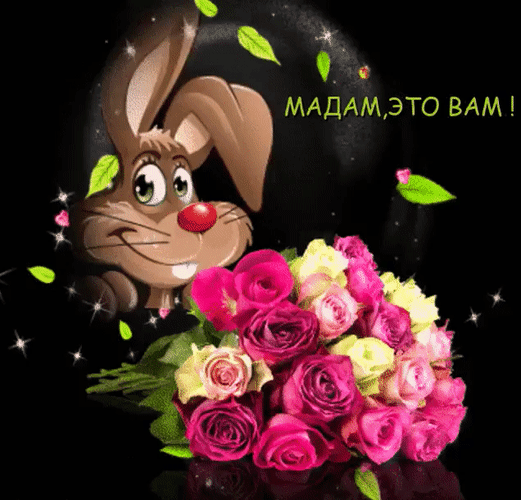Милая открытка с зайчиком и букетом роз. Надпись: «Мадам, это вам!». Идеально для поздравления женщины, подруги или любимой в WhatsApp и соцсетях. Анимированная открытка Мадам, это вам! Милая и праздничная GIF-анимация с изображением симпатичного мультяшного зайчика, который дарит пышный букет ярких розовых и кремовых роз. На картинке присутствует надпись на русском языке «МАДАМ, ЭТО ВАМ!», что делает ее идеальной для поздравления женщины, мамы, подруги или любимой. Анимация дополнена сверкающими искрами и летящими листочками на темном фоне, создавая торжественную и романтичную атмосферу Милая открытка с зайчиком и букетом роз. Надпись: «Мадам, это вам!». Идеально для поздравления женщины, подруги или любимой в WhatsApp и соцсетях. Анимированная открытка Мадам, это вам! Милая и праздничная GIF-анимация с изображением симпатичного мультяшного зайчика, который дарит пышный букет ярких розовых и кремовых роз. На картинке присутствует надпись на русском языке «МАДАМ, ЭТО ВАМ!», что делает ее идеальной для поздравления женщины, мамы, подруги или любимой. Анимация дополнена сверкающими искрами и летящими листочками на темном фоне, создавая торжественную и романтичную атмосферу