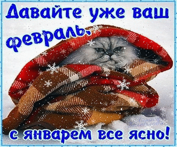 Смешная картинка с котом под одеялом и текстом «Давайте уже ваш февраль, с январем все ясно!». Зимняя юмористическая открытка для настроения. Анимированная открытка Давайте уже ваш февраль, с январем все ясно! Забавная зимняя GIF-анимация с пушистым котом, уютно укутанным в теплое клетчатое одеяло на фоне снега. На картинке расположен юмористический текст на русском языке: «Давайте уже ваш февраль, с январем все ясно!». Изображение передает атмосферу зимней усталости от холодов и желание поскорее сменить месяц