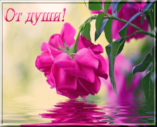 Красивая открытка с розовой розой и надписью «От души!». Нежное поздравление для близких с эффектом водной глади и яркими цветами. Анимированная открытка От души! красивые розовые розы Красивая и эмоциональная открытка с изображением крупным планом нежно-розовой розы. Бутон цветка запечатлен в момент максимального расцвета, демонстрируя изысканную текстуру лепестков. Изображение дополнено теплой, светлой атмосферой и надписью на русском языке «От души!», выполненной элегантным шрифтом. В нижней части картинки виден эффект водной глади с красивыми розовыми отражениями