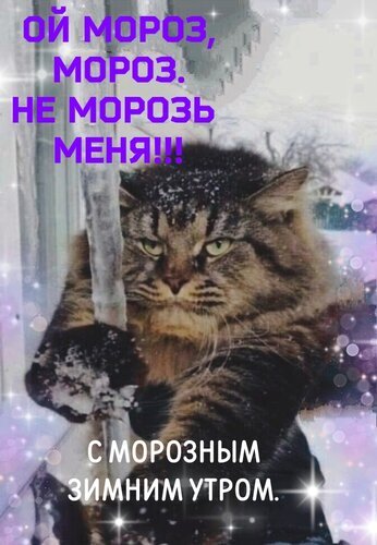 Смешной мем с недовольным котом и надписью «Ой мороз, мороз. Не морозь меня!!!». Забавное зимнее поздравление с морозным утром для друзей и соцсетей. Открытка С морозным зимним утром. Не морозь меня мороз. Смешная зимняя картинка-мем с недовольным котом, который злится на холод. На изображении виден пушистый полосатый кот с серьезным выражением морды на фоне снежного пейзажа. Текст на картинке гласит: «Ой мороз, мороз. Не морозь меня!!! С морозным зимним утром»
