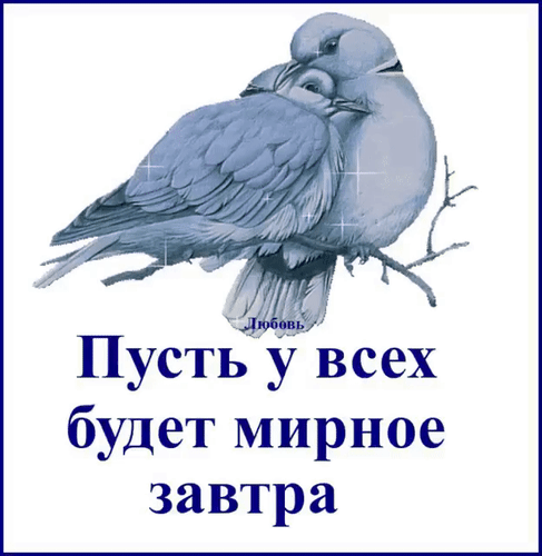 Мирное изображение двух птиц с надписью «Пусть у всех будет мирное завтра». Символ любви, надежды и гармонии для открыток и социальных сетей. Анимированная открытка Пусть у всех будет мирное завтра Иллюстрация с изображением двух нежно прижавшихся друг к другу птиц голубого оттенка на фоне белого пространства. Под птицами расположена надпись на русском языке: «Пусть у всех будет мирное завтра» и маленькое слово «Любовь». Картинка несет в себе глубокий эмоциональный посыл, символизируя мир, гармонию, единство и надежду на спокойное будущее