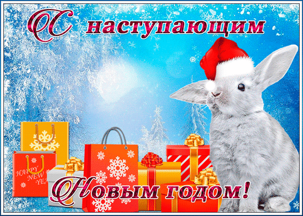Новогодняя открытка с милым кроликом и подарками. Надпись «С наступающим Новым годом!». Идеально для праздничных поздравлений и соцсетей. Анимированная открытка С наступающим новым годом Праздничная новогодняя открытка с милым серым кроликом на фоне зимнего пейзажа. На изображении представлены яркие подарочные коробки и пакеты с новогодним декором. Крупный надпис на русском языке: «С наступающим Новым годом!» Новогодняя открытка с милым кроликом и подарками. Надпись «С наступающим Новым годом!». Идеально для праздничных поздравлений и соцсетей. Анимированная открытка С наступающим новым годом Праздничная новогодняя открытка с милым серым кроликом на фоне зимнего пейзажа. На изображении представлены яркие подарочные коробки и пакеты с новогодним декором. Крупный надпис на русском языке: «С наступающим Новым годом!»