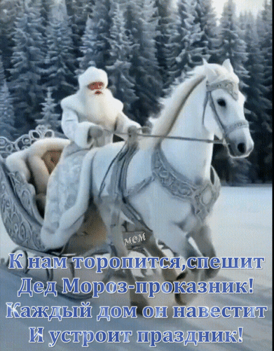 Дед Мороз на белом коне в санях на фоне зимнего леса. Сказочная новогодняя открытка с текстом о празднике и чудесах. Анимированная открытка К нам торопится, спешит Дед Мороз-проказник! Каждый дом он навестит и устроит праздник! Иллюстрация в зимнем стиле, на которой изображен Дед Мороз в белоснежном наряде, едущий на белой лошади в запряженной санях по заснеженному лесу. Картинка передает атмосферу зимней сказки и праздничного ожидания. На изображении наложен поздравительный текст на русском языке: «К нам торопится, спешит Дед Мороз-проказник! Каждый дом он навестит И устроит праздник!»