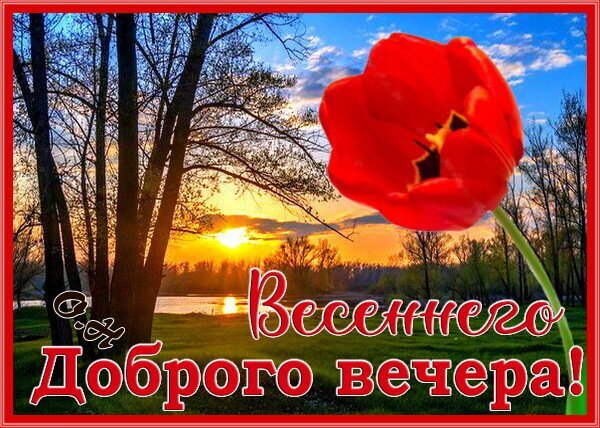 Красивая открытка «Весеннего доброго вечера!» с красным тюльпаном на фоне заката над рекой. Теплое весеннее пожелание для близких и друзей. Открытка Доброго весеннего вечера! Красивая поздравительная открытка с изображением крупного ярко-красного тюльпана на фоне живописного заката. На заднем плане видны силуэты деревьев, спокойная гладь воды и золотистое солнце, уходящее за горизонт. На картинке нанесена красивая надпись на русском языке: Желаем Весеннего Доброго вечера! Красивая открытка «Весеннего доброго вечера!» с красным тюльпаном на фоне заката над рекой. Теплое весеннее пожелание для близких и друзей. Открытка Доброго весеннего вечера! Красивая поздравительная открытка с изображением крупного ярко-красного тюльпана на фоне живописного заката. На заднем плане видны силуэты деревьев, спокойная гладь воды и золотистое солнце, уходящее за горизонт. На картинке нанесена красивая надпись на русском языке: Желаем Весеннего Доброго вечера!