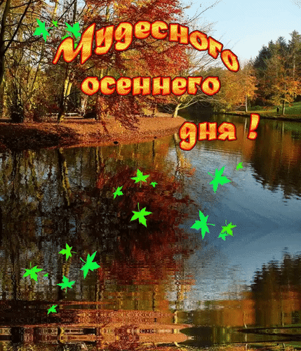 Красивая осенняя открытка с надписью «Чудесного осеннего дня!» на фоне реки и золотых деревьев. Идеально для поздравлений и осеннего настроения. Анимированная открытка Чудесного осеннего дня! Осенний пейзаж с надписью «Чудесного осеннего дня!» на фоне спокойной реки. На изображении запечатлена живописная природа: золотистые и багряные деревья, отражающиеся в зеркальной глади воды, и летящие зеленые листья