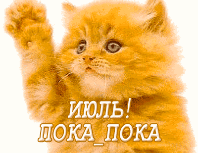 Милый рыжий котенок с надписью «ИЮЛЬ! ПОКА_ПОКА». Идеальная открытка для прощания с июлем в соцсетях и мессенджерах. Анимированная открытка Июль! ПОКА ПОКА Милое изображение пушистого рыжего котенка с поднятой лапкой, напоминающее приветствие. На картинке наложен текст на русском языке: «ИЮЛЬ! ПОКА_ПОКА» Милый рыжий котенок с надписью «ИЮЛЬ! ПОКА_ПОКА». Идеальная открытка для прощания с июлем в соцсетях и мессенджерах. Анимированная открытка Июль! ПОКА ПОКА Милое изображение пушистого рыжего котенка с поднятой лапкой, напоминающее приветствие. На картинке наложен текст на русском языке: «ИЮЛЬ! ПОКА_ПОКА»