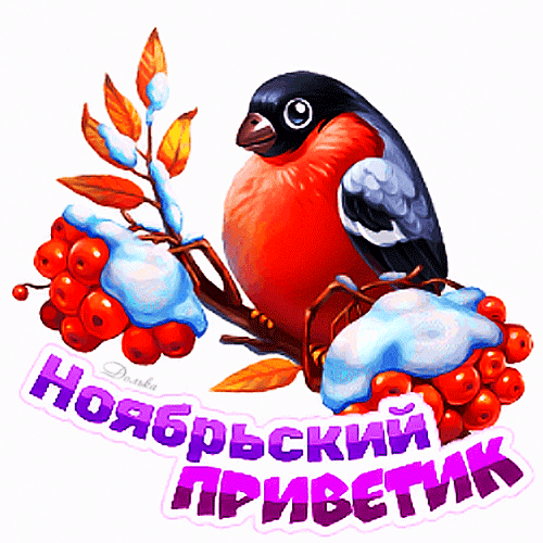 Уютная открытка с ярким снегирем на ветке рябины со снегом и надписью «Ноябрьский приветик». Идеально для осенних и зимних поздравлений в соцсетях. Анимированная открытка Ноябрьский Приветик! Красочная зимняя иллюстрация с изображением яркого снегиря, сидящего на ветке с красными ягодами рябины, припорошенными пушистым снегом. Изображение выполнено в теплых и уютных тонах, создавая атмосферу осенне-зимнего уюта. В нижней части картинки расположена декоративная надпись на русском языке «Ноябрьский приветик», выполненная в фиолетовых тонах с белым контуром
