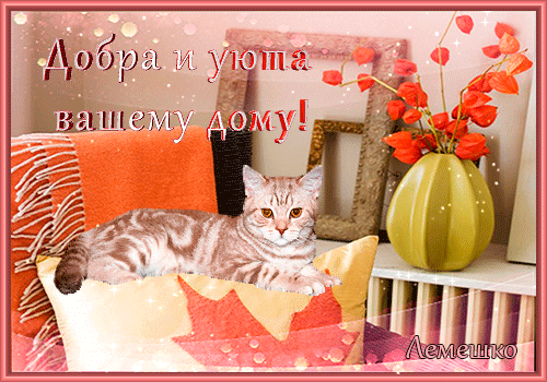 Красивая открытка с котенком и надписью «Добра и уюта вашему дому!». Теплый домашний интерьер, цветы и уютная атмосфера для добрых пожеланий. Анимированная открытка Добра и уюта вашему дому! Уютная открытка с милым полосатым котенком, отдыхающим на мягкой подушке. На фоне — теплый интерьер с оранжевым пледом, вазой с яркими цветами и декоративными рамами. На изображении наложен красивый текст на русском языке: «Добра и уюта вашему дому!»