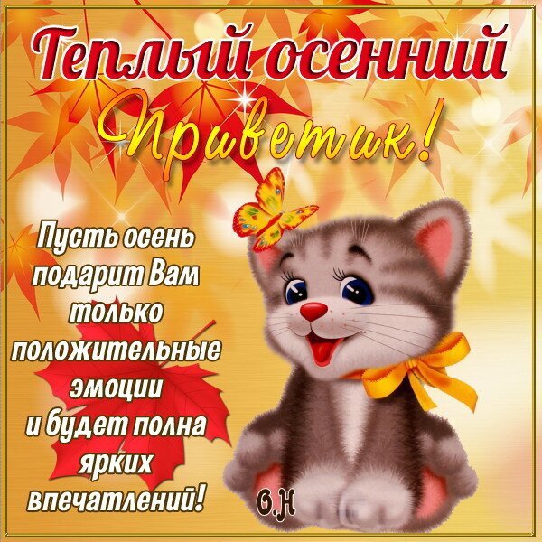 Милая осенняя открытка с котенком и пожеланиями ярких эмоций. Теплый привет для друзей и близких в осенний сезон. Открытка Теплый осенний приветик! Красочная поздравительная открытка с осенней тематикой. На изображении милый серый котенок с бантиком на фоне золотых кленовых листьев. Текст на русском языке гласит: Теплый осенний Приветик! Пусть осень подарит Вам только положительные эмоции и будет полна ярких впечатлений!