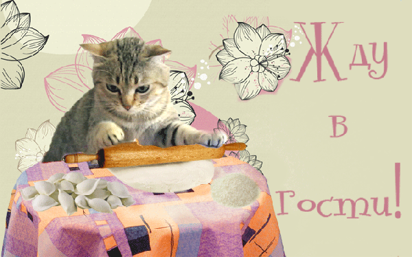 Милый котенок с рулеткой и надписью «Жду в гости!» на нежном цветочном фоне. Уютная открытка для приветствия друзей и близких. Анимированная открытка Жду в гости! жду в гости Милое и уютное цифровое изображение (коллаж) с пушистым полосатым котенком, который помогает «раскатывать тесто» скалкой. Композиция украшена нежными цветами и розовыми акцентами. На фоне расположена надпись на русском языке «Жду в гости!», что создает теплую, гостеприимную атмосферу