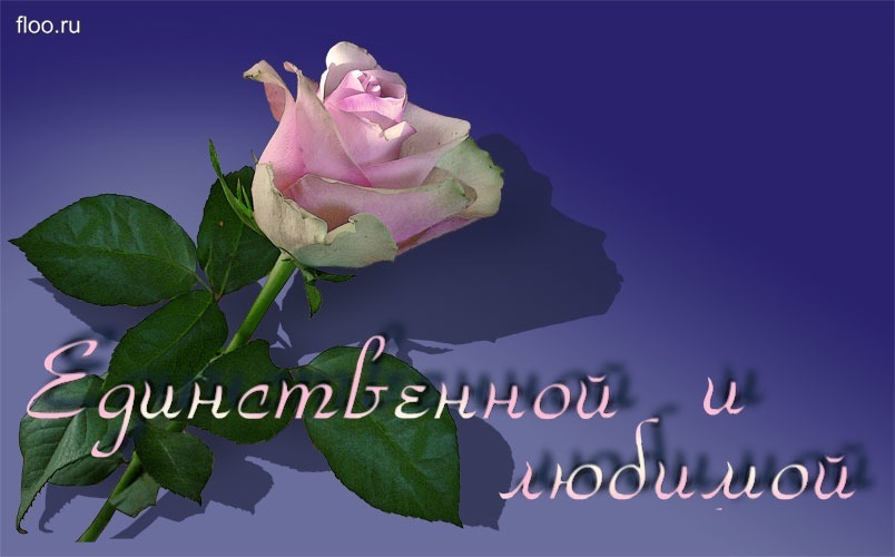 Романтическая открытка с розой и надписью «Единственной и любимой». Красивое поздравление для любимой женщины, жены или девушки на любой праздник. Открытка Единственной и любимой Красивая открытка с нежно-розовой розой на темно-синем фоне. На изображении присутствует романтическая надпись на русском языке «Единственной и любимой». Идеально подходит для отправки в качестве поздравительной открытки любимой женщине, жене или девушке на День рождения, годовщину или просто в знак признания в любви