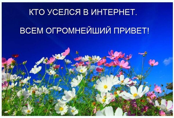 Приветственная картинка с ярким цветами и синим небом. Надпись: «Кто уселся в интернет. Всем огромнейший привет!». Позитивный фон для соцсетей. Открытка КТО Уселся В Интернет. ВСЕМ Огромнейший Привет! Яркое и позитивное изображение с видом на цветущее поле космеи под ярко-синим небом. На картинке размещен приветственный текст на русском языке: «КТО УСЕЛСЯ В ИНТЕРНЕТ. ВСЕМ ОГРОМНЕЙШИЙ ПРИВЕТ!»