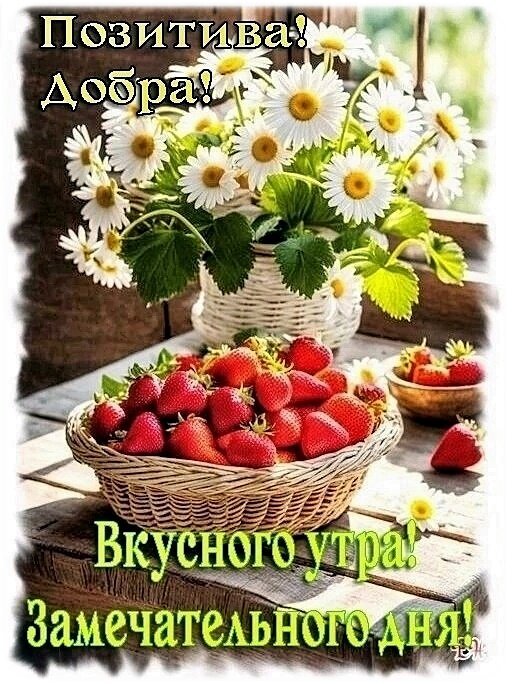 Яркая открытка с клубникой и ромашками. Пожелания позитива, добра и вкусного утра для отличного настроения и замечательного дня! Открытка Позитива. Добрая, вкусного утра, замечательного дня! На сочной и яркой картинке изображена корзина спелой красной клубники на деревянном столе, а на заднем плане — пышный букет белых ромашек в плетеной вазе. Композиция наполнена летним теплом и уютом. Надписи на русском языке «Позитива! Добра! Вкусного утра! Замечательного дня!» создают праздничное и вдохновляющее настроение