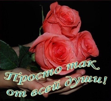 Розовые розы с надписью «Просто так, от всей души!» — нежная поздравительная открытка для выражения любви и теплых чувств близким людям. Открытка Просто так от всей души! Красивое изображение букета из трех нежных розовых роз с капельками росы на лепестках. Цветы бережно держат руки на темном фоне. На картинке нанесена романтичная надпись на русском языке: 