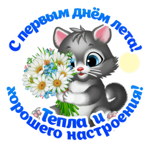 Поздравление с первым днем лета: милый серый котенок с букетом ромашек. Картинка с надписью «С первым днем лета! Тепла и хорошего настроения!» Анимированная открытка С первым днем лета! Тепла и хорошего настроения! Красочная поздравительная открытка к первому дню лета. На изображении представлен милый серый котенок с большими голубыми глазами, который держит пышный букет белых ромашек с мелкими голубыми цветами. Вокруг котенка расположена синяя праздничная надпись на русском языке: «С первым днем лета! Тепла и хорошего настроения!»