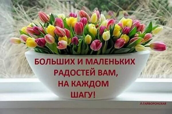 Поздравительная открытка с яркими тюльпанами в вазе и пожеланием больших и маленьких радостей на каждом шагу. Весеннее настроение и тепло в одной картинке. Открытка Больших и маленьких радостей на каждом шагу! Красивая поздравительная открытка с букетом ярких тюльпанов (желтых, розовых и красных) в белой вазе на фоне окна. На вазе нанесен текст на русском языке: 