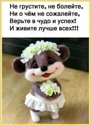 Милая открытка с фетровым медвежонком и добрыми пожеланиями: «Не грустите, не болейте, верьте в чудо и успех!». Позитивная картинка для настроения. Открытка Не грустите, не болейте и живите лучше всех! Милая открытка с рукотворной игрушкой из фетра. На изображении представлен очаровательный коричневый медвежонок в белой юбочке и с цветами на голове. Надпись на русском языке гласит: «Не грустите, не болейте, ни о чем не сожалейте, верьте в чудо и успех! И живите лучше всех!!!»