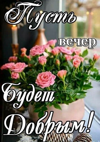Открытка с розовыми розами и надписью «Пусть вечер будет добрым!». Уютное изображение для пожелания приятного и теплого вечера близким. Открытка Пусть вечер будет добрым! Красивая поздравительная открытка с изображением пышного букета нежно-розовых роз в горшке. На фоне уютного интерьера с зажженными свечами нанесен вдохновляющий текст на русском языке: «Пусть вечер будет добрым!» Открытка с розовыми розами и надписью «Пусть вечер будет добрым!». Уютное изображение для пожелания приятного и теплого вечера близким. Открытка Пусть вечер будет добрым! Красивая поздравительная открытка с изображением пышного букета нежно-розовых роз в горшке. На фоне уютного интерьера с зажженными свечами нанесен вдохновляющий текст на русском языке: «Пусть вечер будет добрым!»