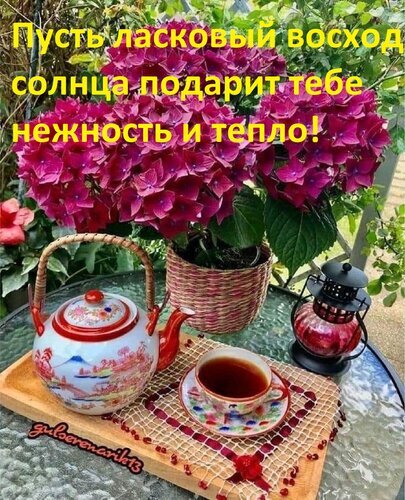 Уютное утро с розовыми гортензиями, расписным чайником и чашкой чая. Вдохновляющая картинка с пожеланием нежности и тепла от ласкового восхода солнца. Открытка Пусть ласковый восход солнца подарит тебе нежность и тепло! Уютная и вдохновляющая композиция с яркими темно-розовыми гортензиями в плетеной корзине. На деревянном подносе расставлены красивая расписная чайная пара с красным чайником и чашка с ароматным чаем, дополненные декоративным фонариком. Атмосфера наполнена нежностью и теплом утреннего солнца. Изображение украшено мотивирующей надписью на русском языке: «Пусть ласковый восход солнца подарит тебе нежность и тепло!» Уютное утро с розовыми гортензиями, расписным чайником и чашкой чая. Вдохновляющая картинка с пожеланием нежности и тепла от ласкового восхода солнца. Открытка Пусть ласковый восход солнца подарит тебе нежность и тепло! Уютная и вдохновляющая композиция с яркими темно-розовыми гортензиями в плетеной корзине. На деревянном подносе расставлены красивая расписная чайная пара с красным чайником и чашка с ароматным чаем, дополненные декоративным фонариком. Атмосфера наполнена нежностью и теплом утреннего солнца. Изображение украшено мотивирующей надписью на русском языке: «Пусть ласковый восход солнца подарит тебе нежность и тепло!»