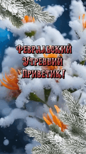 Зимняя открытка «Февральский утренний приветик!» со снежными ветками ели. Идеально для доброго утра и зимнего настроения в соцсетях. Анимированная открытка Февральский утренний приветик! Пусть на все мои желания... Судьба ответит да! Хорошего дня! Красивая праздничная открытка с зимним пейзажем. На изображении заснеженные ветки ели и хвойные лапы, покрытые пушистым белым снегом, на фоне нежно-голубого неба. Поверх зимнего декора размещен стильный текст на русском языке: ФЕВРАЛЬСКИЙ УТРЕННИЙ ПРИВЕТИК!