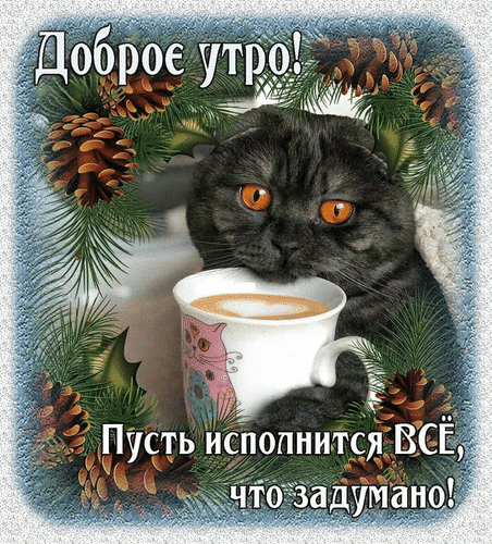 Доброе утро! Милая открытка с черным котом и чашкой кофе. Пожелание: «Пусть исполнится все, что задумано!». Уютное изображение для хорошего настроения. Анимированная открытка Доброе утро! Пусть исполнится ВСЕ, что задумано! Милая поздравительная открытка на доброе утро с изображением пушистого черного кота, уютно обнимающего чашку горячего кофе. Картинка украшена декоративными сосновыми шишками и веточками хвои, создавая атмосферу тепла и уюта. На изображении расположен вдохновляющий текст на русском языке: «Доброе утро! Пусть исполнится все, что задумано!» Доброе утро! Милая открытка с черным котом и чашкой кофе. Пожелание: «Пусть исполнится все, что задумано!». Уютное изображение для хорошего настроения. Анимированная открытка Доброе утро! Пусть исполнится ВСЕ, что задумано! Милая поздравительная открытка на доброе утро с изображением пушистого черного кота, уютно обнимающего чашку горячего кофе. Картинка украшена декоративными сосновыми шишками и веточками хвои, создавая атмосферу тепла и уюта. На изображении расположен вдохновляющий текст на русском языке: «Доброе утро! Пусть исполнится все, что задумано!»