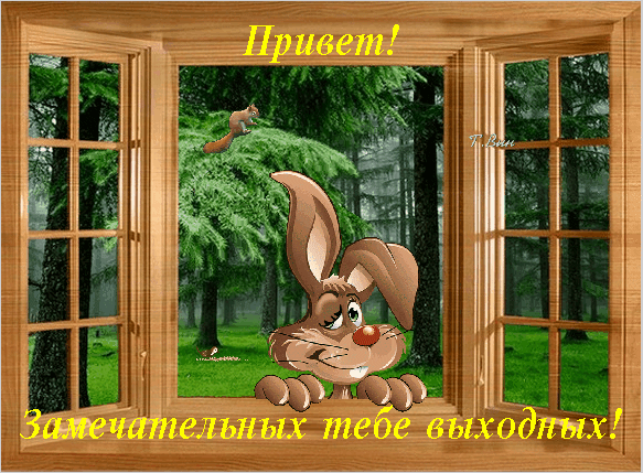 Поздравительная открытка с милым мультяшным зайцем и видом на лес. Надпись: «Привет! Замечательных тебе выходных!». Идеально для пожелания отдыха. Анимированная открытка Замечательных тебе выходных! Колоритная поздравительная открытка в стиле цифровой графики. Изображение представляет собой вид через открытое деревянное окно на густой зеленый лес. На переднем плане — милый мультяшный заяц с большими ушами и забавной мордочкой, который выглядывает из окна. В глубине леса видна прыгающая белка. На картинке размещен текст на русском языке: сверху «Привет!», снизу «Замечательных тебе выходных!»