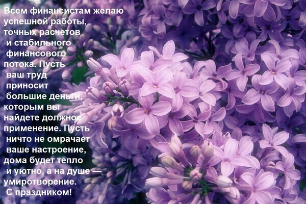 Поздравление для финансистов на фоне цветущей сирени. Теплые пожелания успеха в работе, стабильного финансового потока и душевного спокойствия. Открытка Всем финансистам желаю успешной работы, точных расчетов и стабильного финансового потока. Пусть ваш Красивое поздравительное изображение с веткой цветущей сирени фиолетового цвета. На фоне нежных соцветий расположен текст на русском языке с теплыми пожеланиями профессионального успеха, финансовой стабильности, процветания и душевного спокойствия. Картинка идеально подходит для поздравления финансистов, бухгалтеров и финансовых аналитиков с профессиональным праздником
