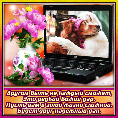 Душевная открытка с пионами и милыми собаками. Трогательные слова о дружбе и надежном друге для поздравления близких. Анимированная открытка С ДНЕМ Дружбы Красивая поздравительная открытка с трогательным сюжетом: на экране ноутбука изображены обнимающиеся собаки, а рядом стоит ваза с нежными розовыми пионами. На картинке размещен душевный текст на русском языке о ценности настоящей дружбы и надежного друга